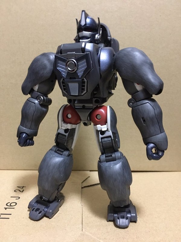 MP 32 Masterpiece Optimus Primal   In Hand Photos Surface On Twitter  (3 of 81)